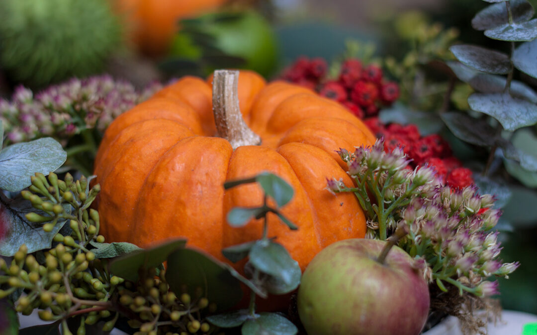 Skymningsshopping 30/10